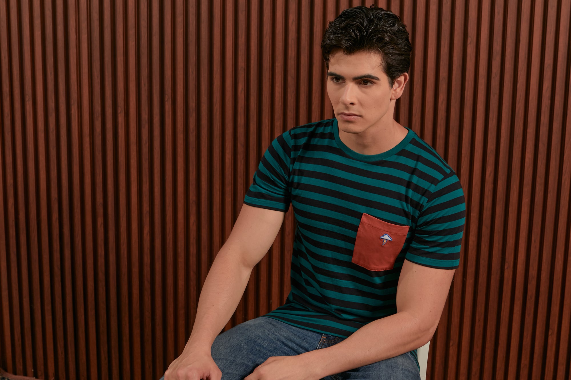 Nalure Stripe Man Tees